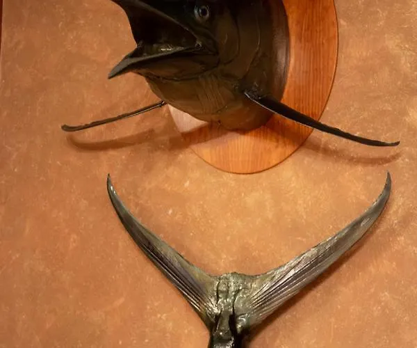 Вилла Rafaella In Latchi With Private Garden Полис