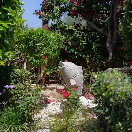 Rafaella In Latchi With Private Garden * Polis